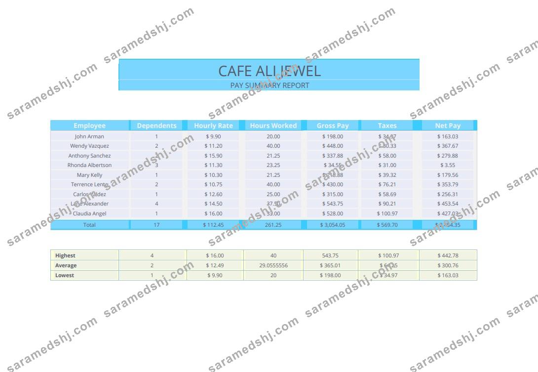Pay summary report pay stub